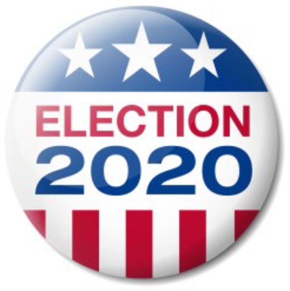 The 2020 Election from the University of Chicago Press